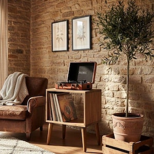 May include: A brown vintage record player on a wooden side table with vinyl records. A brown leather armchair and a potted olive tree are in the room. Two framed botanical prints hang on the brick wall.