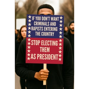 May include: A person holding a sign with the text "IF YOU DON'T WANT CRIMINALS AND RAPISTS ENTERING THE COUNTRY STOP ELECTING THEM AS PRESIDENT". The sign is red and blue with white stars.