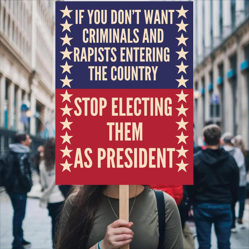 May include: A protest sign held by a person in a crowd. The sign is divided into two sections: blue at the top and red at the bottom. White text reads, "IF YOU DON'T WANT CRIMINALS AND RAPISTS ENTERING THE COUNTRY STOP ELECTING THEM AS PRESIDENT."
