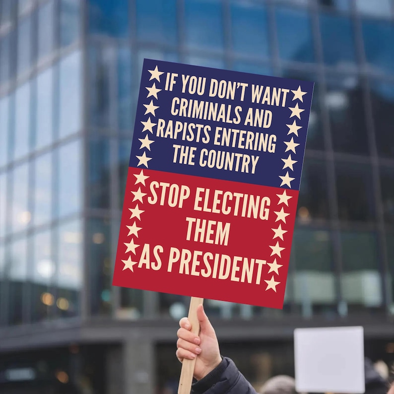 May include: A protest sign held up in front of a building. The sign is divided into two sections, blue on top and red on the bottom, with white stars along the edges. The text on the sign reads: "IF YOU DON'T WANT CRIMINALS AND RAPISTS ENTERING THE COUNTRY STOP ELECTING THEM AS PRESIDENT."
