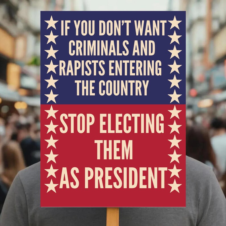 May include: A protest sign with a blue and red color scheme. The top half reads "IF YOU DON'T WANT CRIMINALS AND RAPISTS ENTERING THE COUNTRY" in white text. The bottom half says "STOP ELECTING THEM AS PRESIDENT". White stars border the text.