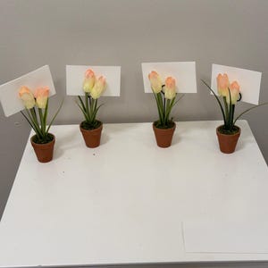 Könnte beinhalten: Vier kleine Topfpflanzen mit künstlichen Pfirsich- und gelben Tulpen und grünen Blättern. Jede Pflanze befindet sich in einem kleinen Terrakotta-Topf und hat ein weißes rechteckiges Schild. Die Pflanzen sind auf einer weißen Oberfläche angeordnet.