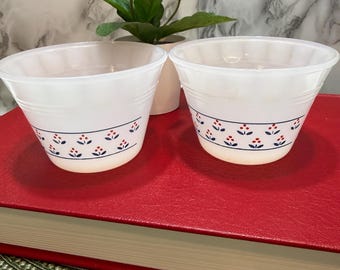 Vintage Termocrisa Milk Glass Tumblers Mexico Blue Red Floral Pattern Stackable Set of 2