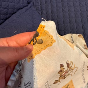 Puede incluir: Una secci&oacute;n de tela de color claro con un estampado de personajes de dibujos animados. La tela tiene un borde de parches naranjas y amarillos. Las palabras "Best in the West" son visibles. La tela est&aacute; siendo sostenida.