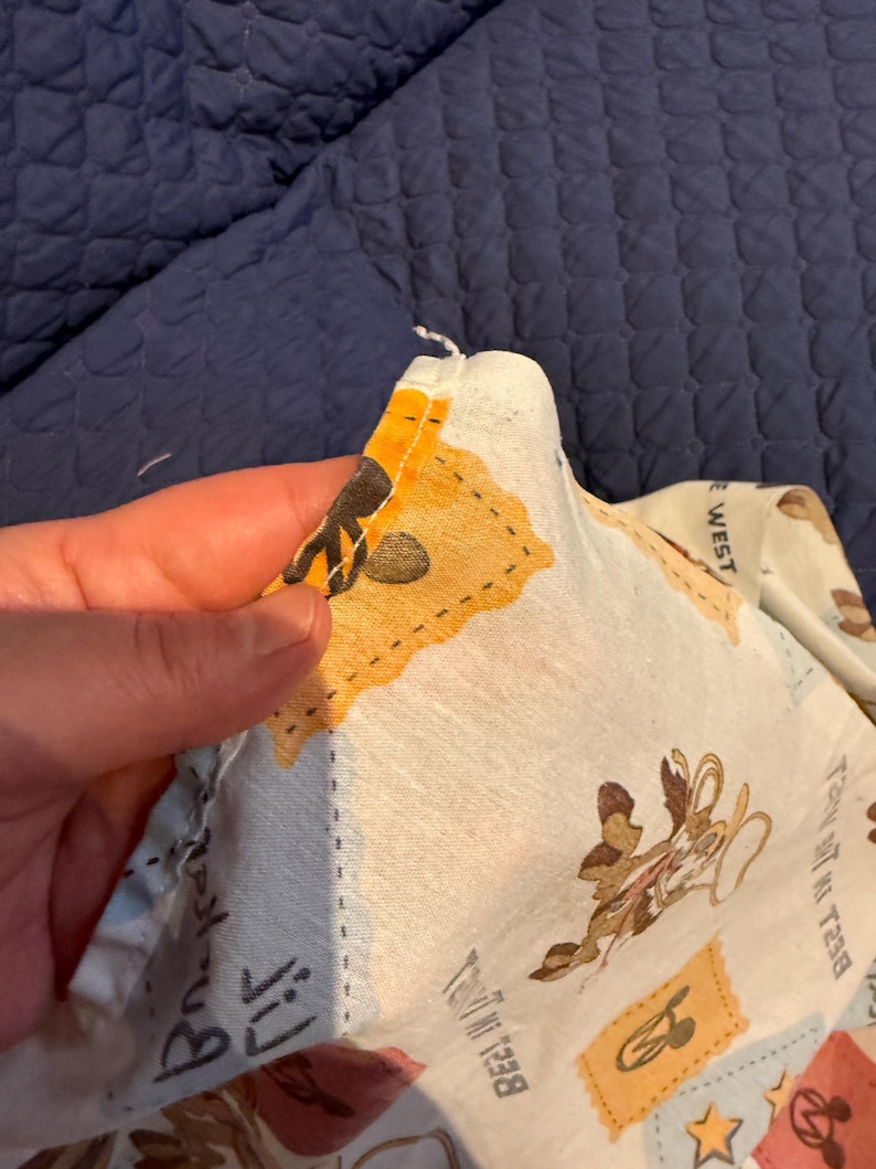 Puede incluir: Una secci&oacute;n de tela de color claro con un estampado de personajes de dibujos animados. La tela tiene un borde de parches naranjas y amarillos. Las palabras "Best in the West" son visibles. La tela est&aacute; siendo sostenida.