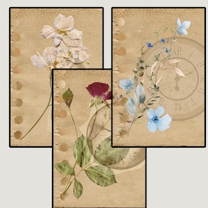 Może przedstawiać: Trzy oprawione wydruki botaniczne przedstawiające suszone kwiaty i liście. Wydruki prezentują różnorodne kompozycje kwiatowe w odcieniach bieli, czerwieni i błękitu, na tle papieru w stylu vintage. Wydruki są ułożone w kolaż.