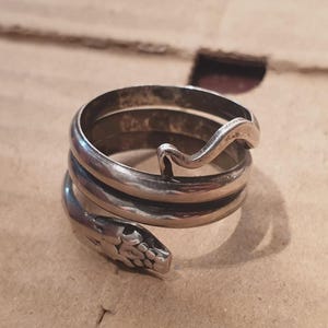 May include: A silver snake ring. The ring is designed to wrap around the finger, with the snake's head and tail meeting. The metal has a polished finish, and the snake's head has detailed features.