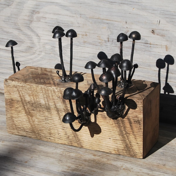 Metal Sculpture; Mushrooms; Panaeolus cinctulus Mushrooms on Oak