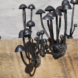 Metal Sculpture; Mushrooms; Panaeolus cinctulus Mushrooms on Oak