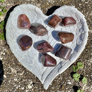 Könnte beinhalten: Eine Sammlung polierter, rotbrauner Edelsteine liegt auf einer weißen, herzförmigen Dekoschale mit flügelartigen Details. Die Steine variieren in Größe und Form und haben eine glänzende Oberfläche.