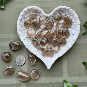 May include: A collection of polished, smoky quartz stones in varying sizes. The stones are displayed in a white, heart-shaped dish with wing details. A US quarter is next to the stones for size comparison. The background is a green, textured fabric.