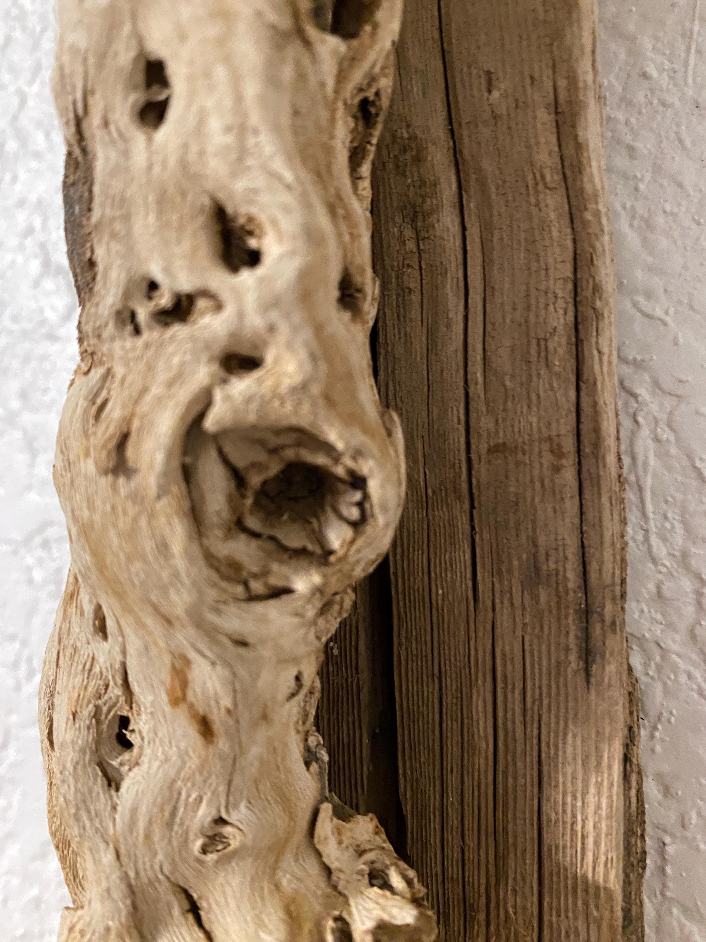 Cholla and Driftwood Wall Cross - Rustic Spiritual Sculpture 15