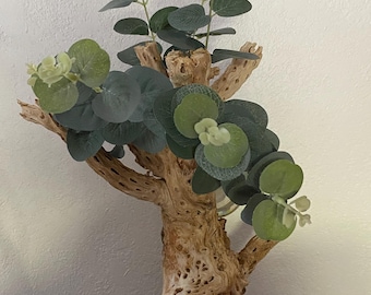 Cholla Cactus Skeleton (Cylindropuntia) - Unique Decoration-FREE SHEEPING