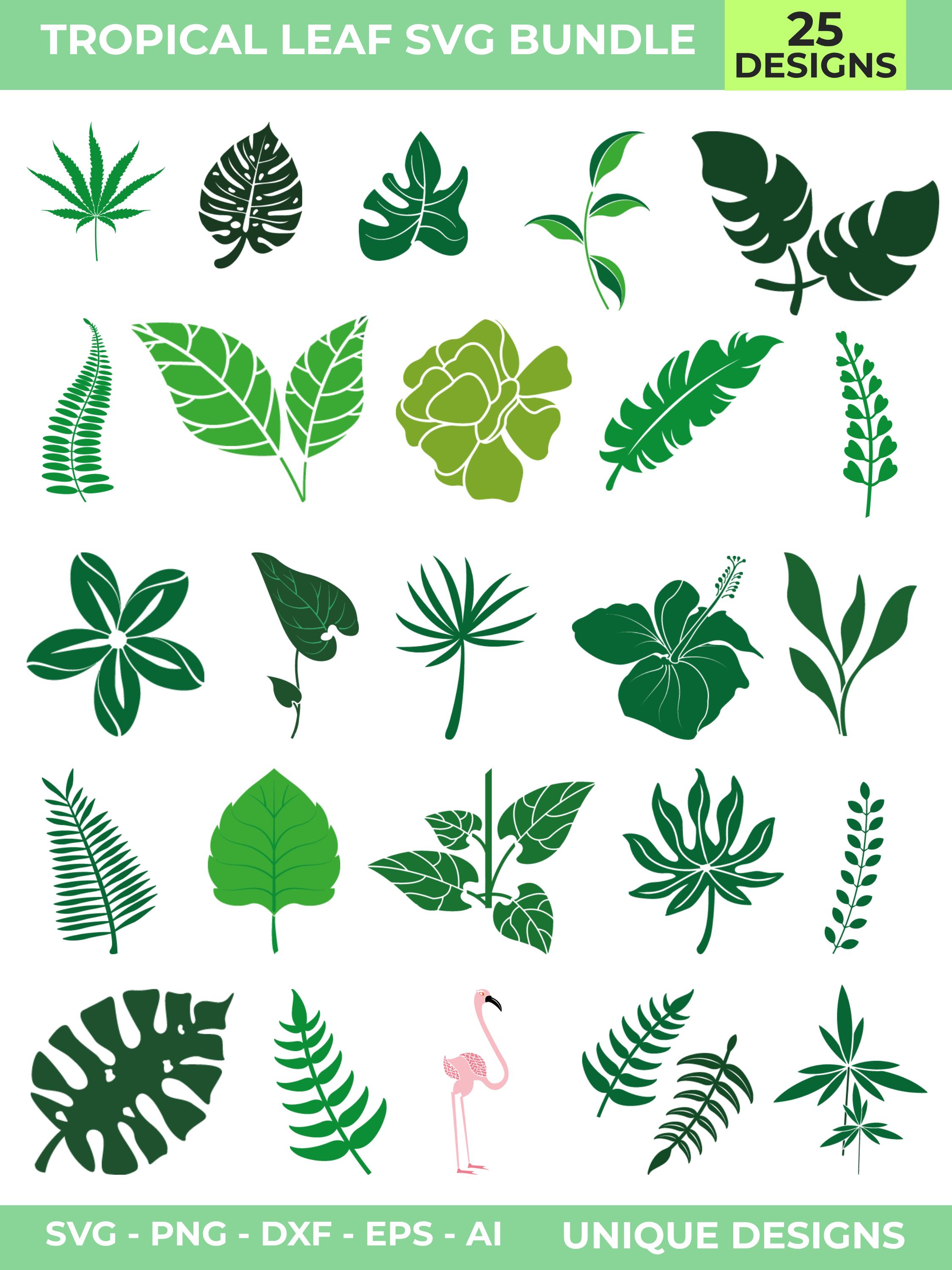 Tropical Leaf SVG ; Monstera SVG, Jungle Leaves, Cricut Cut Files ...