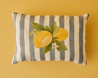 100% Cotton Lemoncello Printed Pillow Cover – Blue, 14×20 in (35×50 cm)