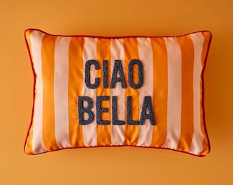 Ciao Bella Embroidered Cotton Cushion Cover: Orange Accent Pillow (14x20 in)