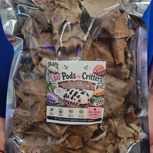May include: A clear plastic bag filled with dried brown sycamore and dark maple leaves. A central label features the text Iso Pods-n-Critters, Sycamore & Dark Maple Mix, Naturally Fallen & Cleaned, and Small Creatures Big Impact.