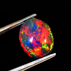 Könnte beinhalten: Ein lebendiger, oval geformter schwarzer Opal-Edelstein, der ein Kaleidoskop von Farben wie Rot, Blau, Grün und Gelb zeigt. Der Opal wird von einer silbernen Pinzette vor einem schwarzen Hintergrund gehalten, was sein Farbenspiel hervorhebt.