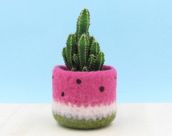 Watermelon vase / Felt succulent planter / coworker Christmas gift / felted planter / cactus vase / housewarming gift / gift for her