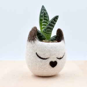 Siamese cat lovers 7th Anniversary gift for her, home decor, pet lover, Mini succulent planter, Cat planter, Small pot, Valentine gift 画像 1