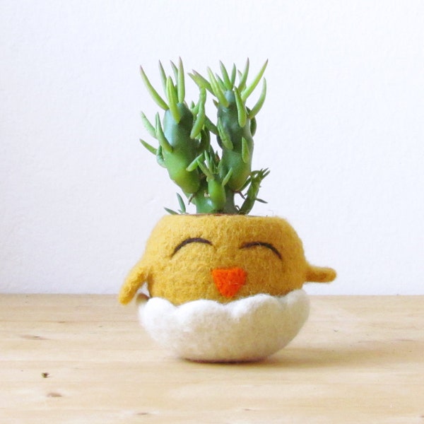 Funny indoor planter | happy chick succulent planter,  cute mini felt cactus vase, Spring handmade decor, mother day gift for her