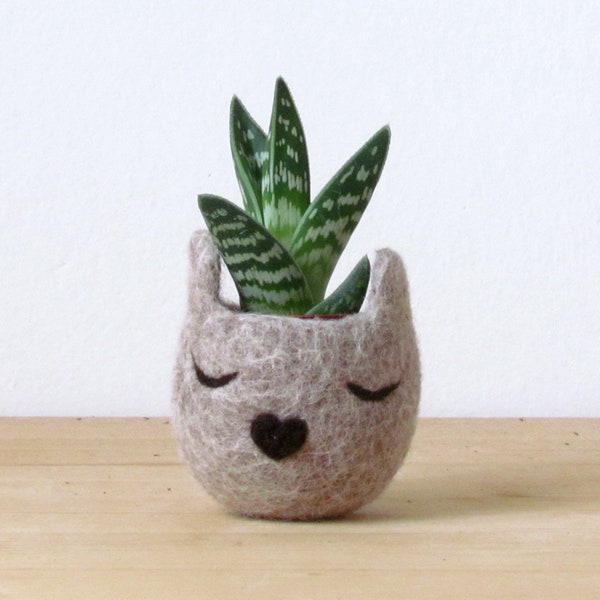 Felt succulent planter | 7th year wool anniversary gift, Small succulent pot, Cat lover pot, Personalized Valentine gift, Cat person gift