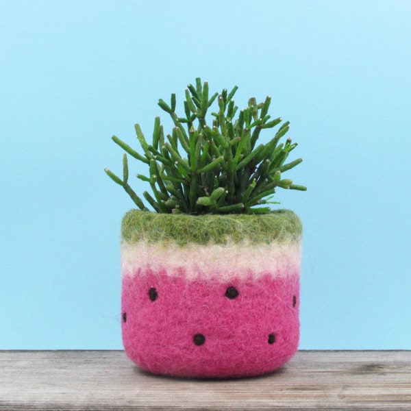 Cactus vase | coworker gift, Housewarming gift for her Felt succulent planter Watermelon vase bring summer outdoor in Felted planter