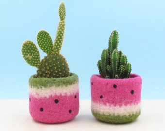 Watermelon planter, Colorful summer gift, felted planters, cactus vase, cabin decor, gift for girlfriend