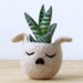 see more listings in the Dog Lovers Planters section