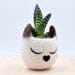 see more listings in the Cat Lovers Planters section