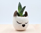 Siamese cat lovers gift for her, home decor, gift for pet lover, Mini succulent planter, Cat planter, Small pot, pet accessories