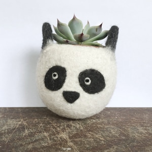 Cute panda planter | Animal planter,  Cactus little vase, mini plant container, desk decoration, panda lover, birthday gift for her