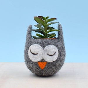 Owl Succulent planter | coworker gift, plant lover gift for her, mini cactus pot, unique Christmas gift for mom, cute animal vase