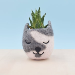 Personalized Cat lover gift for her | Unique gift for mom, Custom Cat Memorial Succulent Planter, Coworker gift, mother day gift