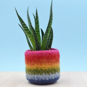 Rainbow gay pride gift LGBT gift, coworker gift, happy pride gifts, succulent planter, pride flag, love is love, housewarming gift 1 vase pink in top