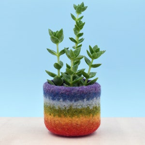 Rainbow gay pride gift LGBT gift, coworker gift, happy pride gifts, succulent planter, pride flag, love is love, housewarming gift 1 vase Purple on top