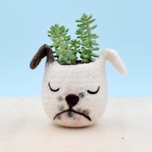 Dog lover gift, bulldog, Personalized gift, Pet gift, Christmas gift for her, succulent planter, Cactus planter gifts, dog planter, dog vase image 1