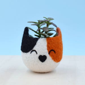 Calico cat lover | Mothers cute gift for Valentine, Coworker gift for her, Pet accessories, Succulent planter, Small succulent pot