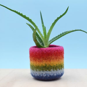 Rainbow gay pride gift LGBT gift, coworker gift, happy pride gifts, succulent planter, pride flag, love is love, housewarming gift image 1