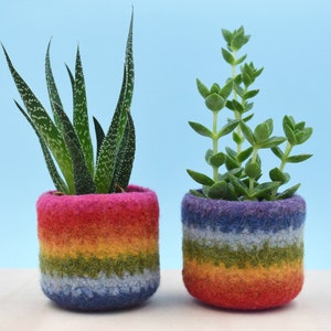 Pride flag | Colorful vase, housewarming gift, succulent planter, gay pride gift, LGBT gift, mother day coworker gift, Rainbow gift