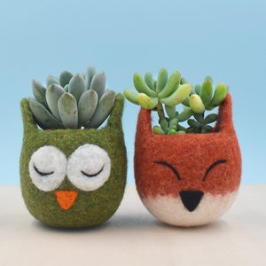 Succulent planter handmade Mother day gift | best friend birthday gift set, Flower plant pot, Cute pots, Fox Owl Animal planters, Felt Pot