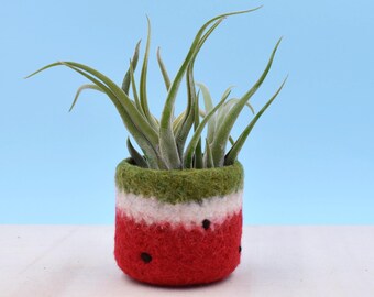 Red planter | Watermelon vase, airplant holder, plant pot, Felt succulent planter, cactus vase, summer gift, housewarming gift, gift for her