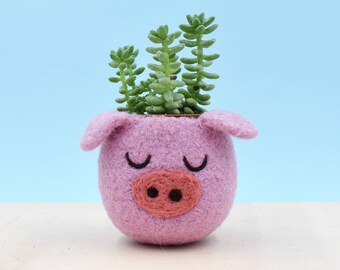 Pig planter | Small succulent pot, Pig lover gift for her, colorful Cactus planter gift, Mother day gift for her, cute pig decor, piggy vase