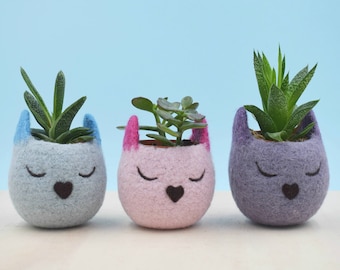 7 year Anniversary, Cat lover gift for women | Plant lady gift, Unique Valentine gift, Succulent planters, Set of 3 Cat planters