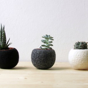 Hygge decor / Succulent planter / air plant holder / cactus pot / plant vase / modern decor / set of 3