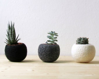 Hygge decor / Succulent planter / air plant holder / cactus pot / plant vase / modern decor / set of 3