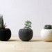 see more listings in the Pod Planters section