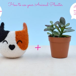 Cat lover gift Felt succulent planter, Neko Atsume Cute Succulent gift, cactus pots, Kawaii Christmas gift for her, Small succulent vase image 3