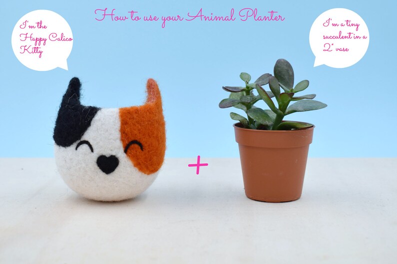 Cat lover gift Felt succulent planter, Neko Atsume Cute Succulent gift, cactus pots, Kawaii Christmas gift for her, Small succulent vase image 3