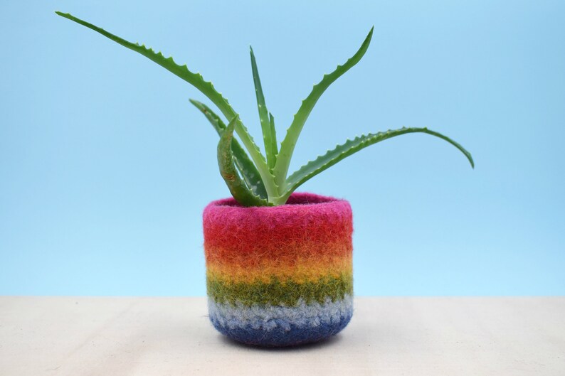 Rainbow gay pride gift LGBT gift, coworker gift, happy pride gifts, succulent planter, pride flag, love is love, housewarming gift image 1